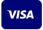 Logotipo da Visa em fundo azul, representando um método de pagamento.